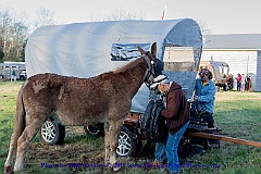 2015-04-04-002