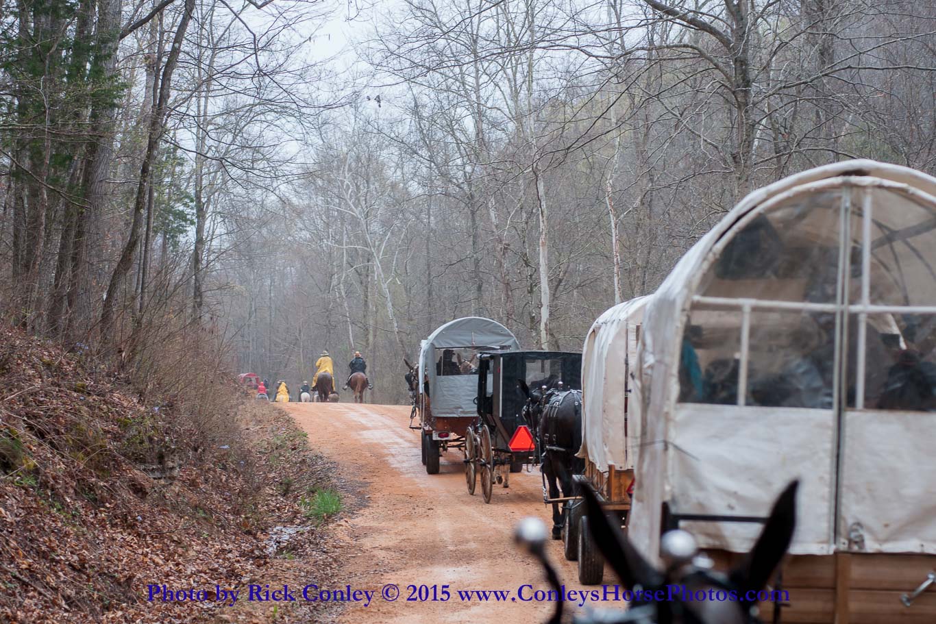 2015-04-06-032.jpg - SONY DSC