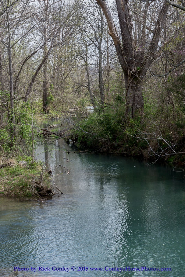 2015-04-08-052.jpg