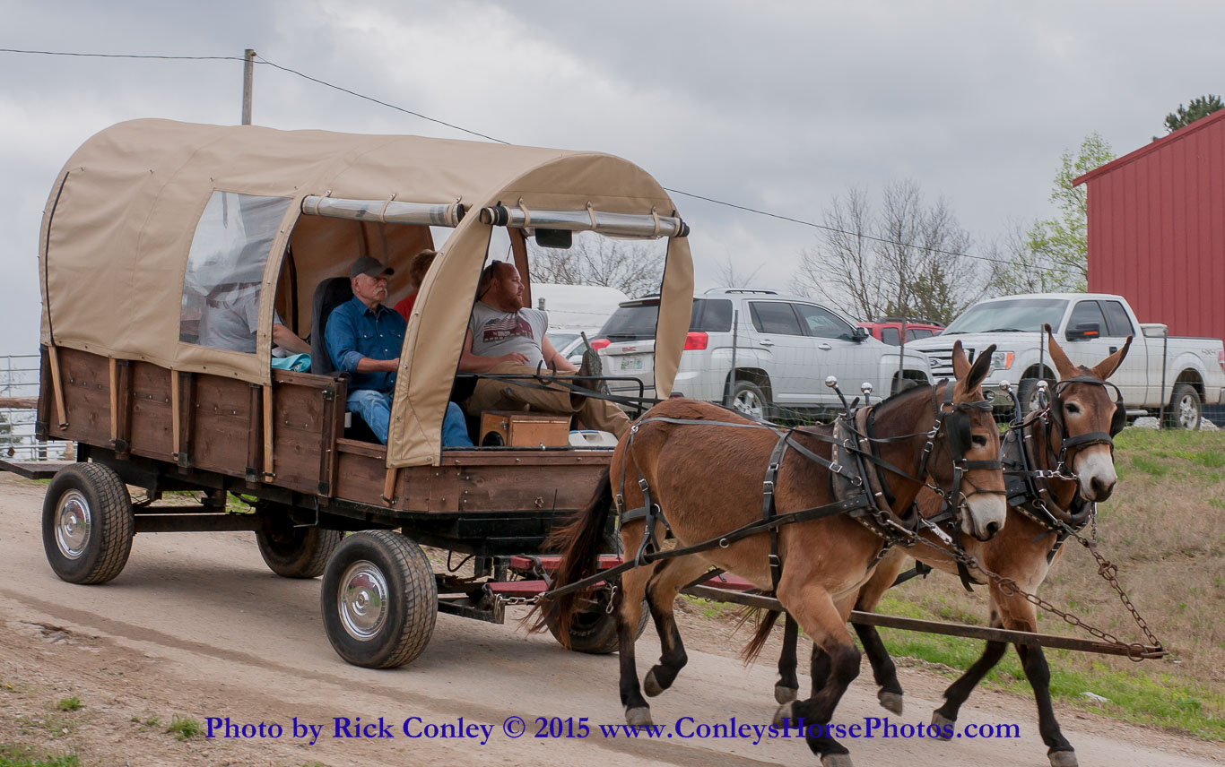 2015-04-03-004.jpg - SONY DSC