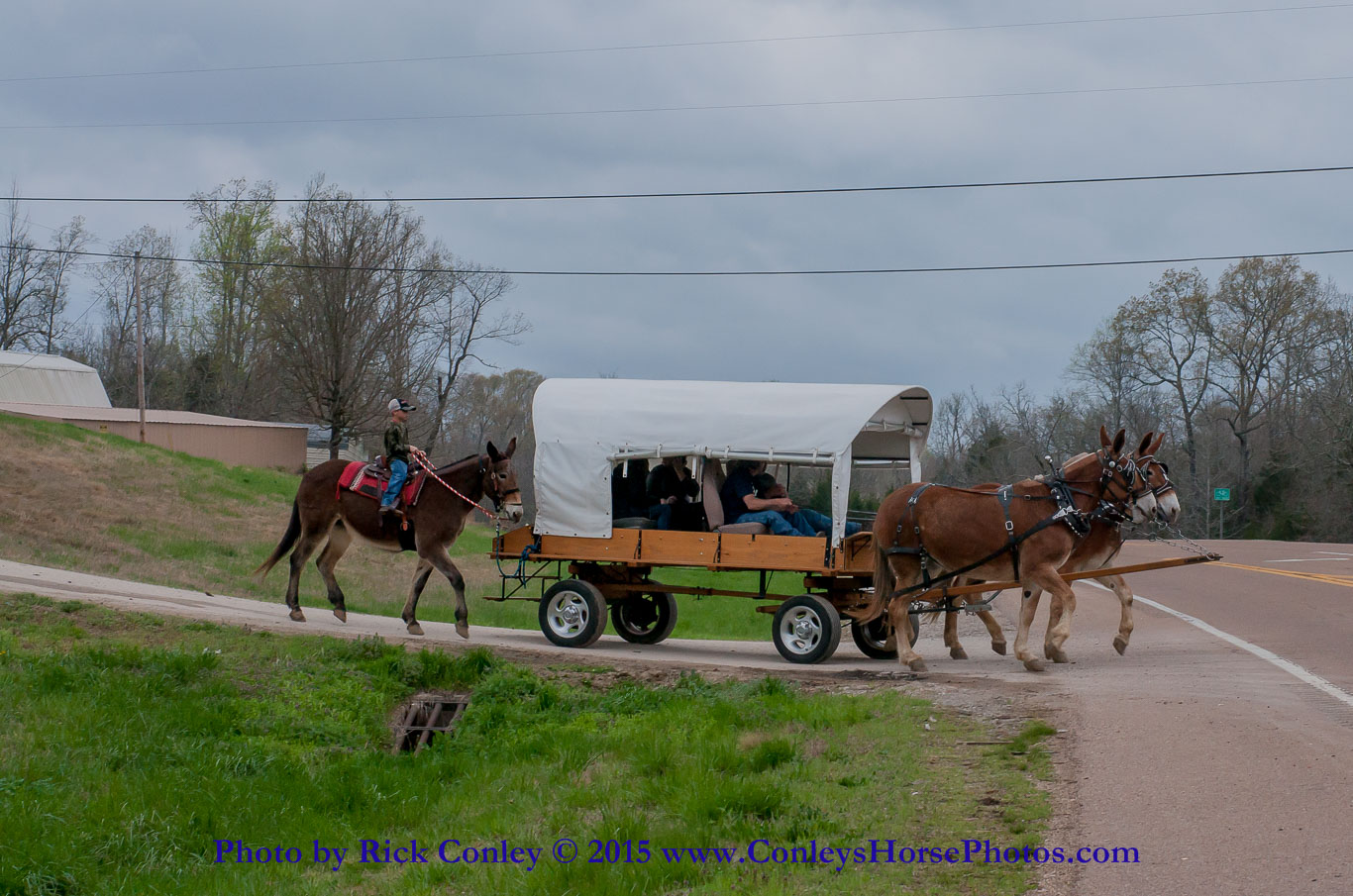 2015-04-03-005.jpg - SONY DSC