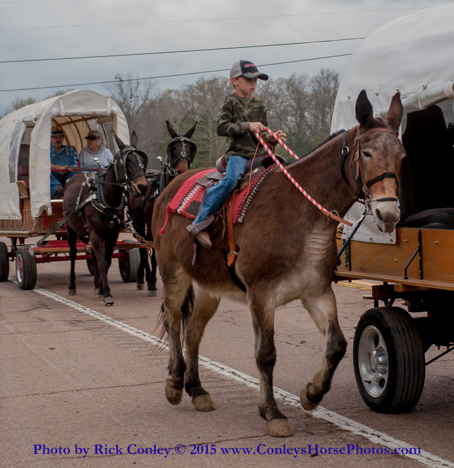 2015-04-03-006.jpg - SONY DSC