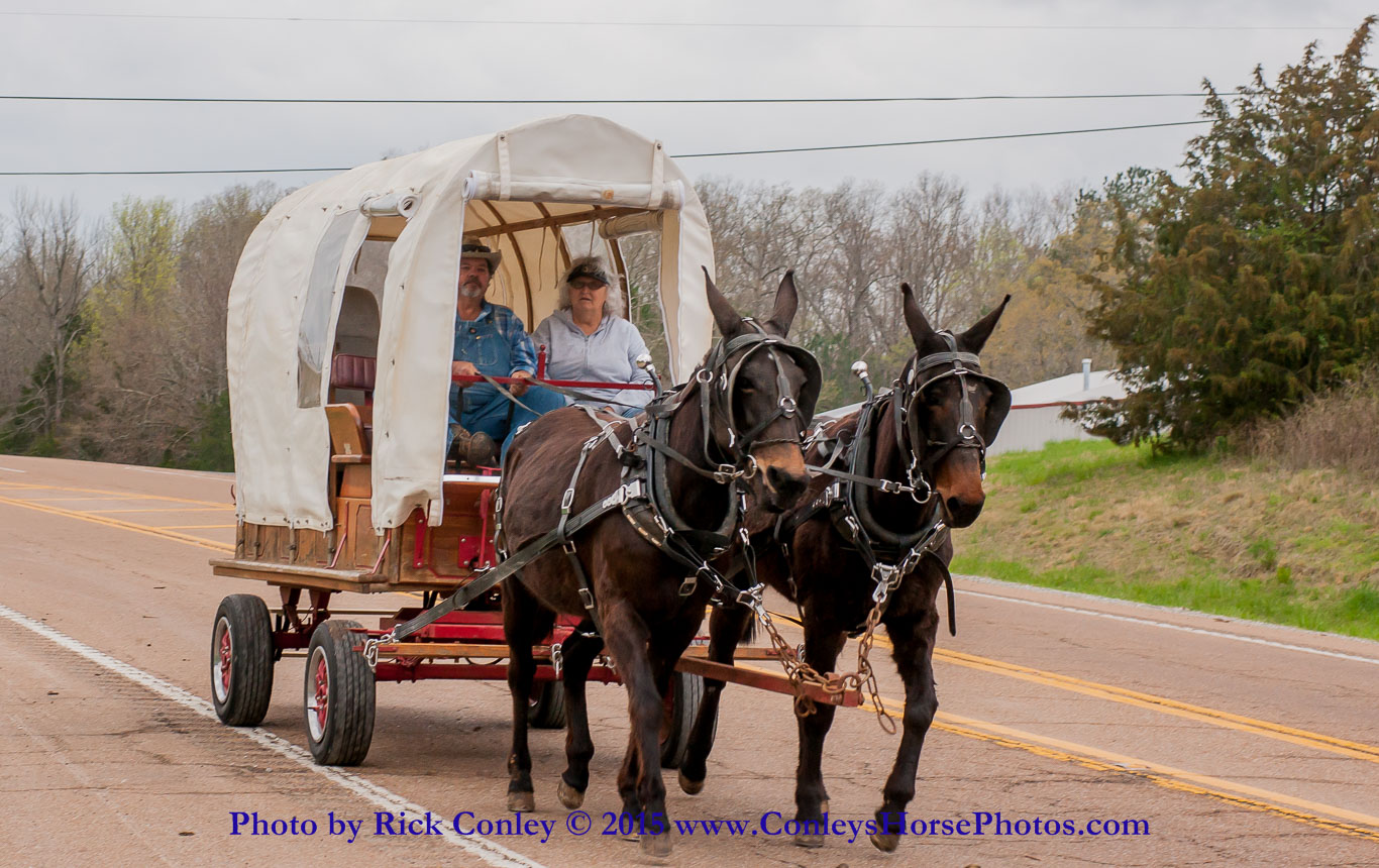 2015-04-03-007.jpg - SONY DSC