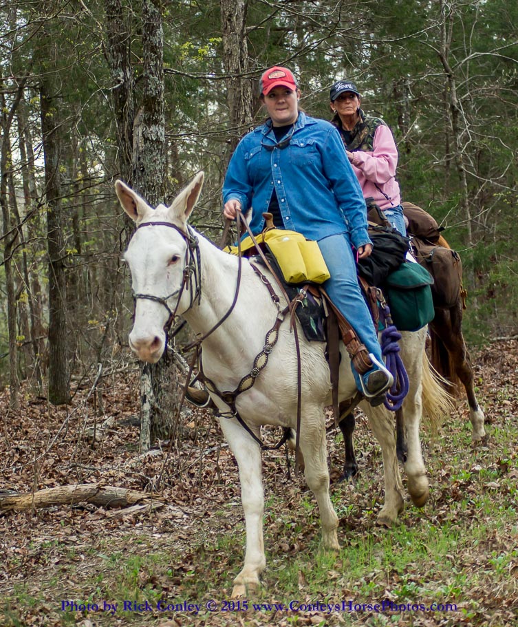 2015-04-03-019.jpg