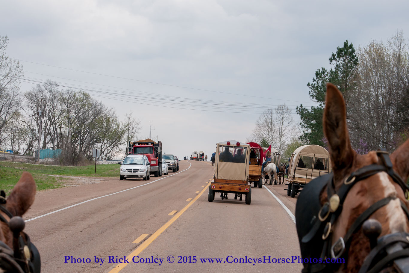 2015-04-03-036.jpg - SONY DSC