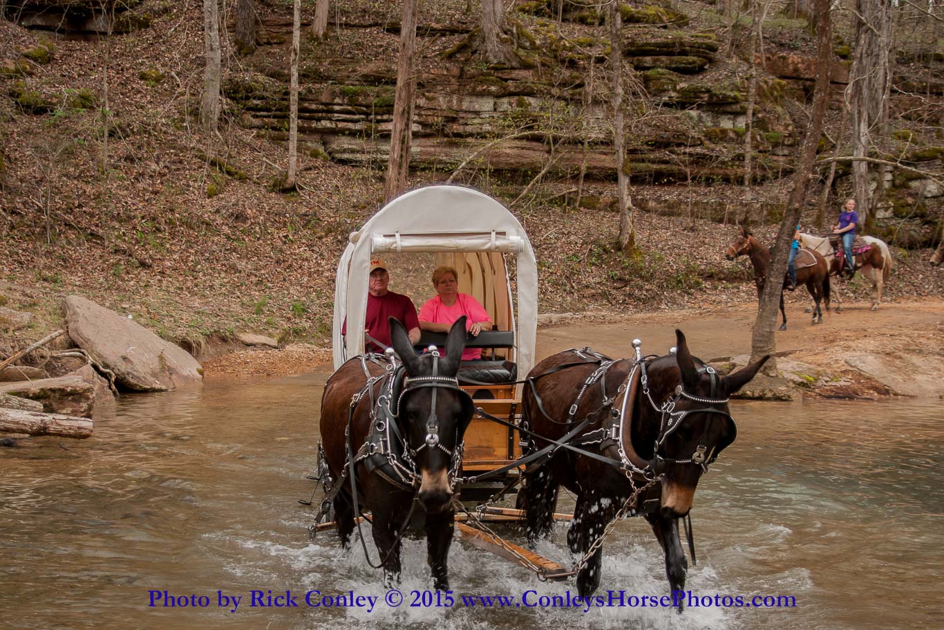 2015-04-03-102.jpg - SONY DSC