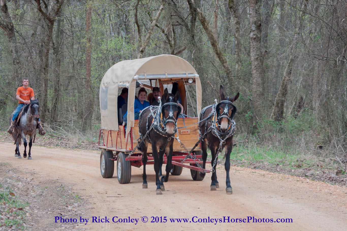 2015-04-03-106.jpg - SONY DSC