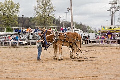 2015-04-09-1006