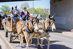 2015-04-11-2019