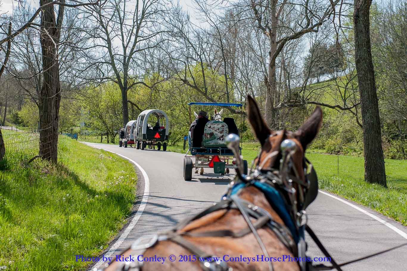 2015-05-02-41.jpg - SONY DSC