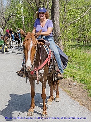 2015-05-02-31
