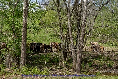 2015-05-02-38
