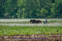 2015-05-09-029