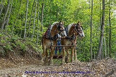 2015-05-07-29