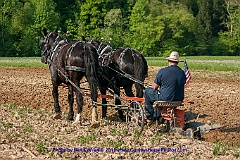 2015-05-08-13