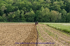 2015-05-08-52