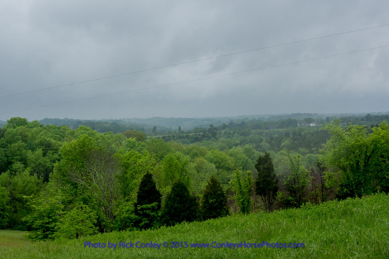 2015-05-16-120.jpg