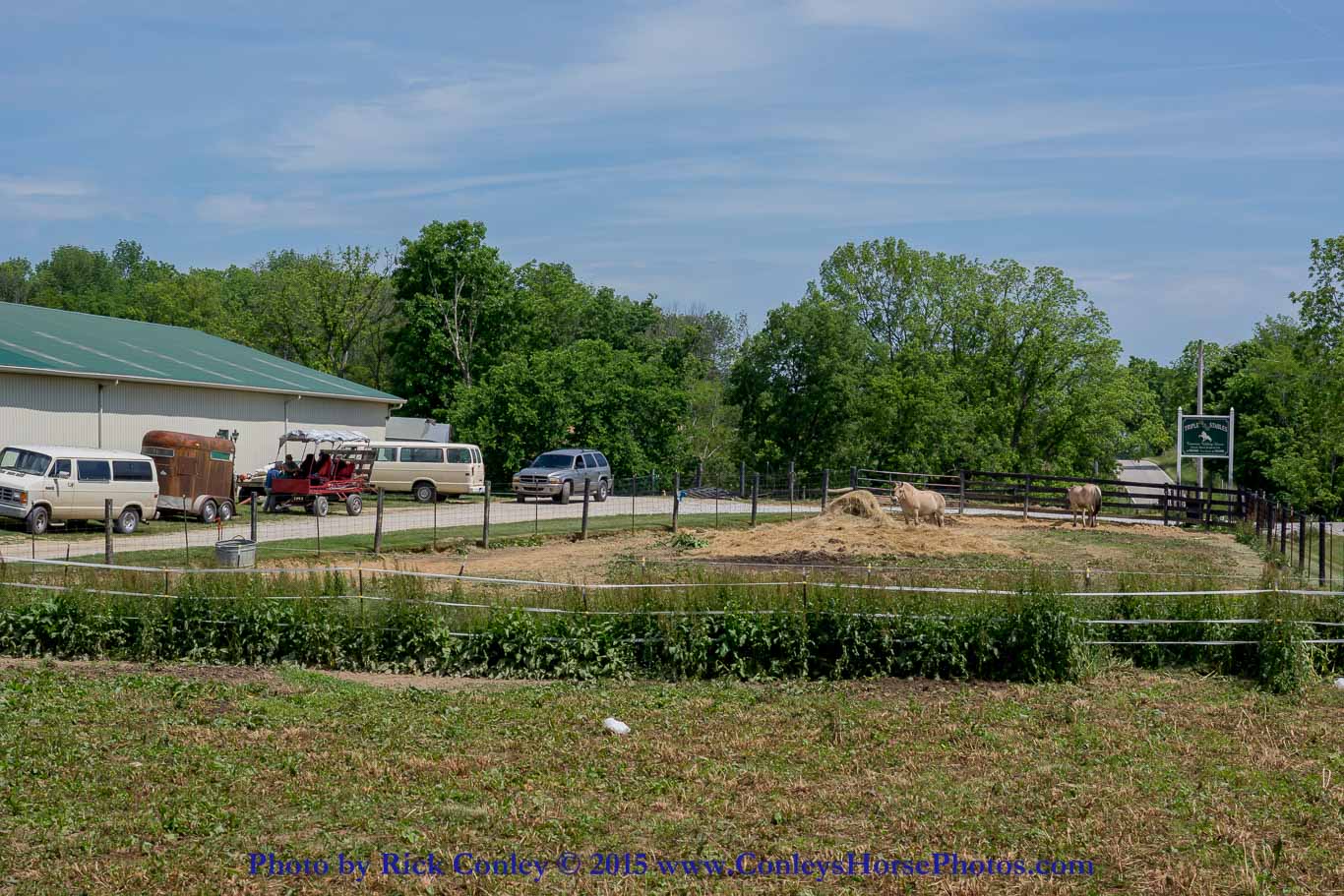 2015-05-23-77.jpg