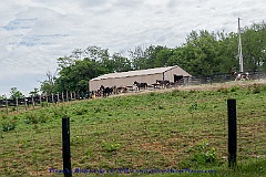 2015-05-23-26