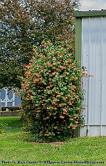 2015-05-23-62