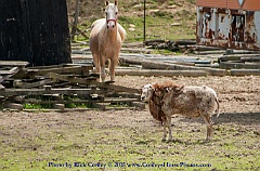 2015-05-23-75