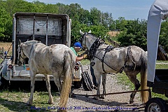 2015-05-23-78