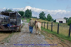 2015-06-27-007