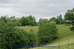 2015-06-27-096