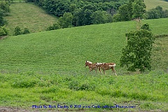 2015-06-27-097