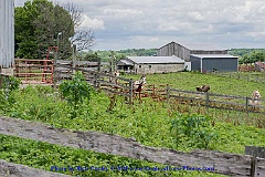 2015-06-27-105