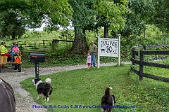 2015-06-27-113