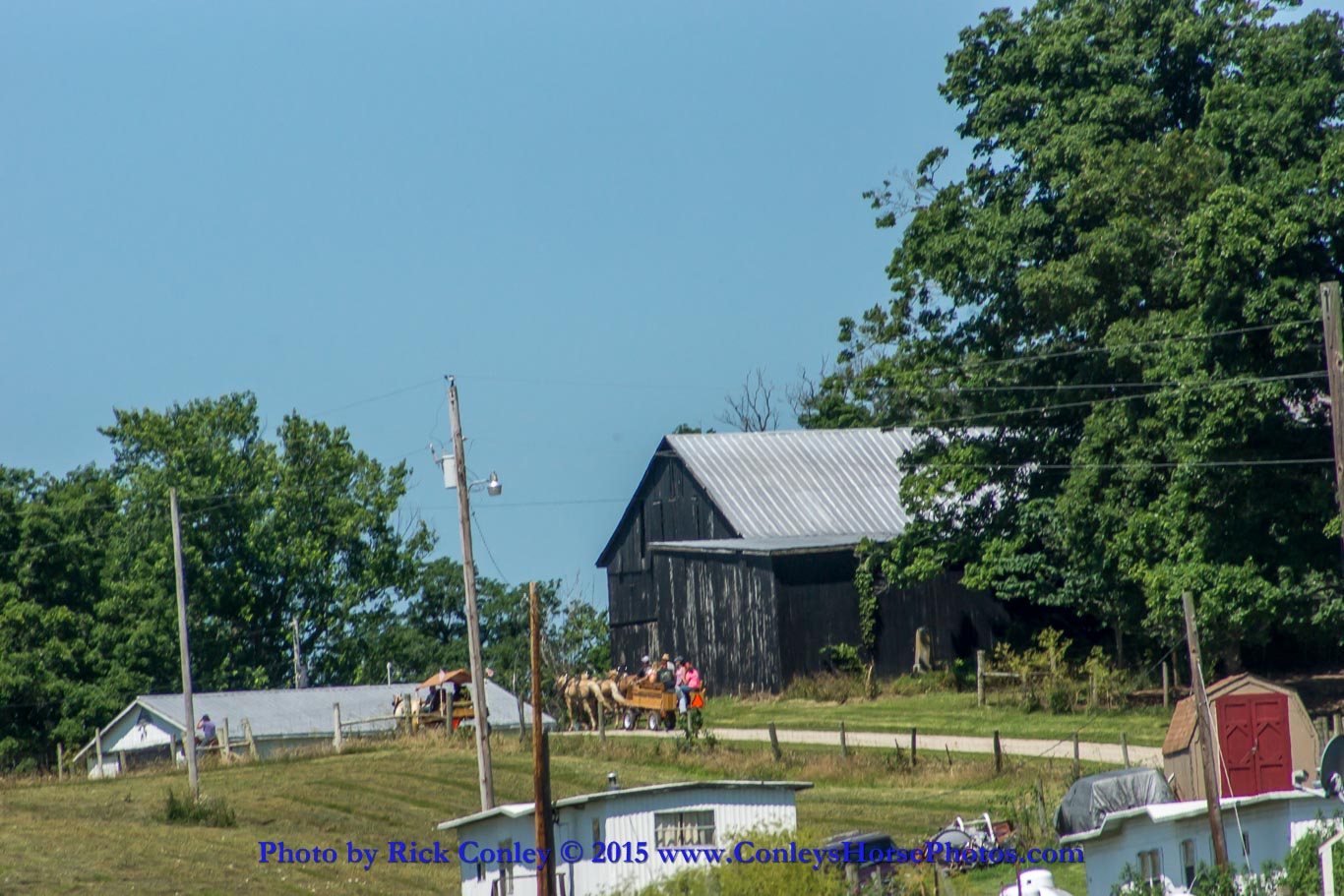 2015-06-28-061.jpg