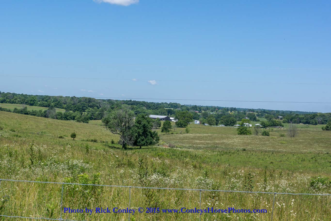 2015-06-28-070.jpg
