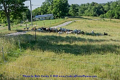 2015-06-28-021