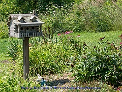 2015-06-28-067