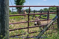 2015-06-28-071