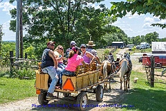 2015-06-28-080