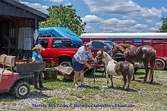 2015-06-28-086