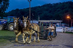 2015-07-10-1080