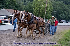 2015-07-10-990