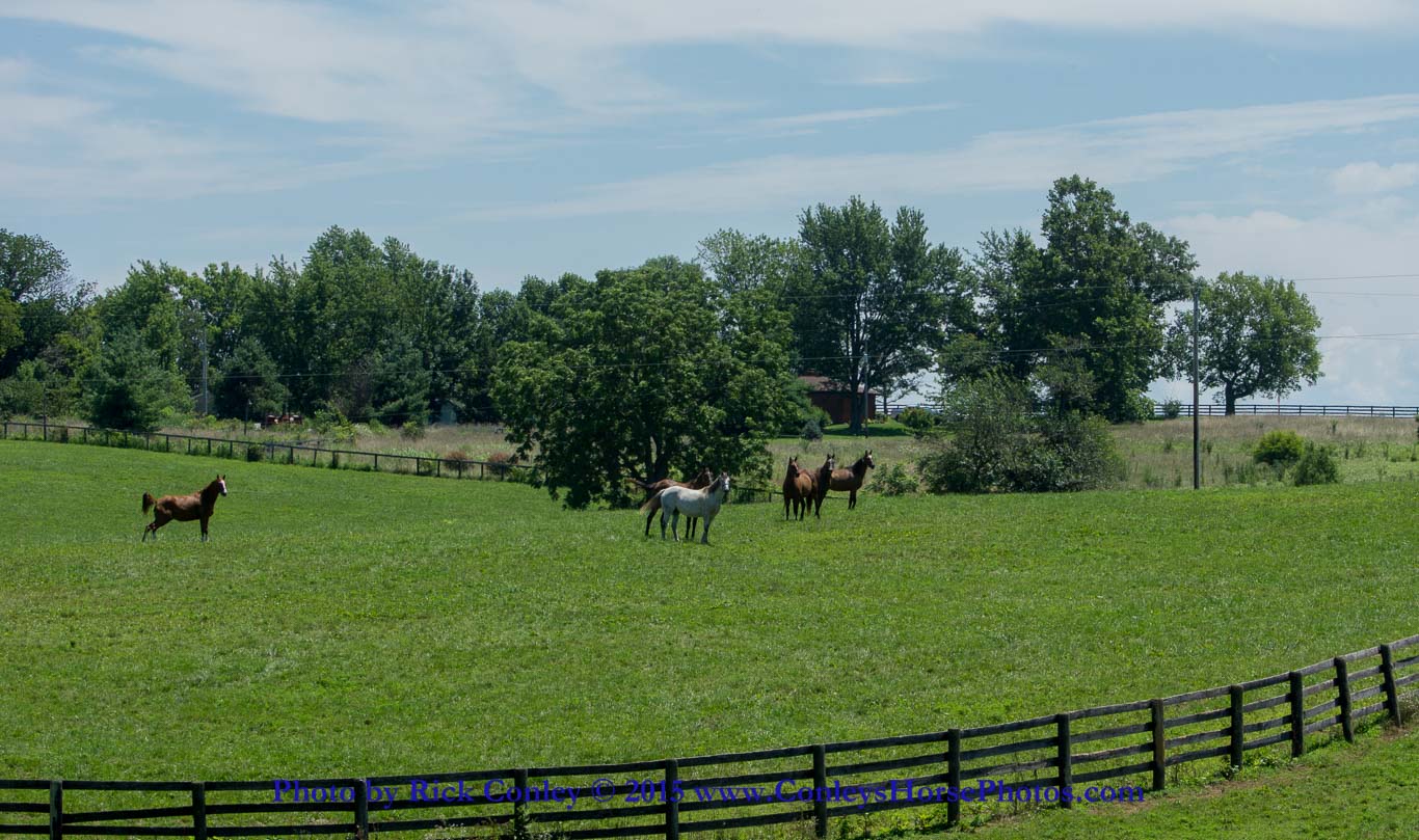 2015-07-22-068.jpg