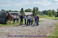 2015-08-08-00-09