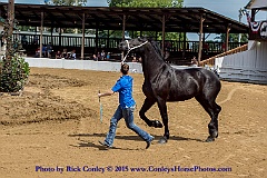 2015-08-08-03-07