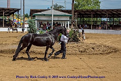 2015-08-08-03-15