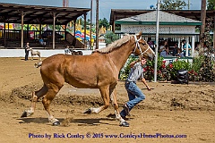 2015-08-08-03-19