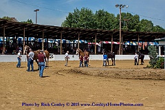 2015-08-08-03-30