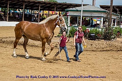 2015-08-08-03-33