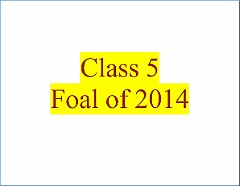2015-08-08-05-00