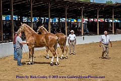 2015-08-08-05-04