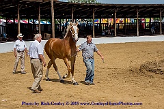 2015-08-08-05-05